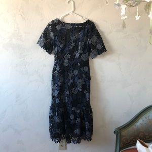 Anthropologie EVA FRANCO Lace dress